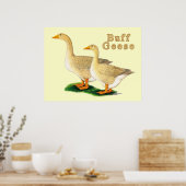 Gänse: American Buffs Poster (Küche)