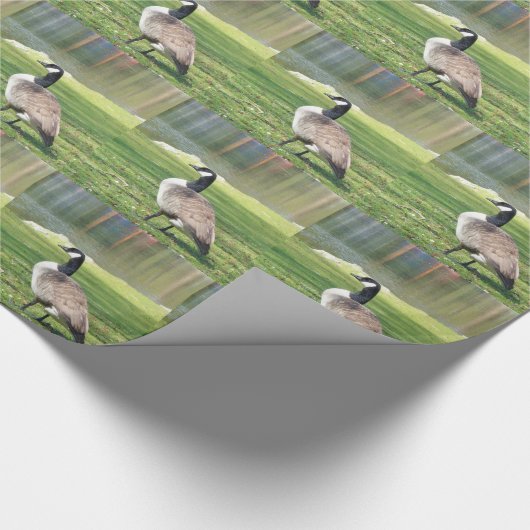 Gänse an der Küste, Wildtiere, Natur Geschenkpapier (Ecke)