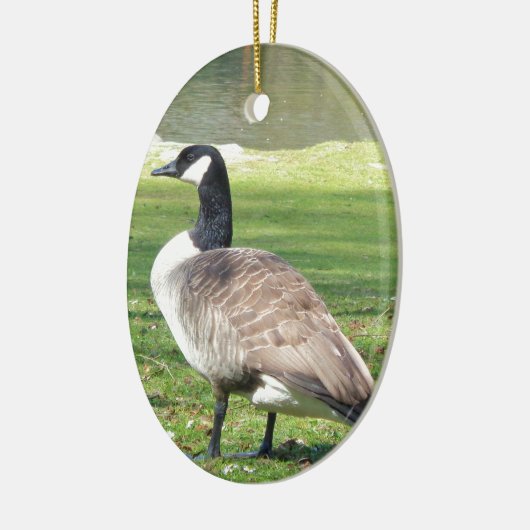 Gänse an der Küste, Wildtiere, Natur Keramik Ornament (Links)