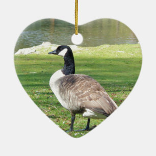 Gänse an der Küste, Wildtiere, Natur Keramikornament