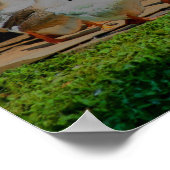 Gänse auf dem März Tierart Poster (Ecke)