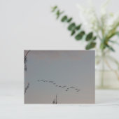 Gänse auf der Fly Postcard Postkarte (Stehend Vorderseite)