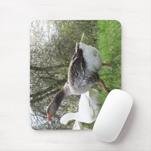 Gänse auf einer Wiese Mousepad (Mit Mouse)