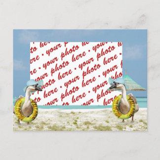 Gänse auf Urlaub Foto Rahmen Postkarte