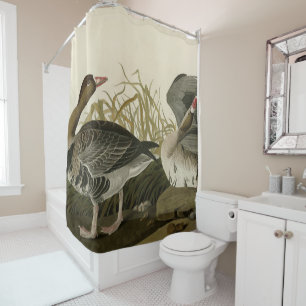Gänse aus Audubon Birds of America  Duschvorhang