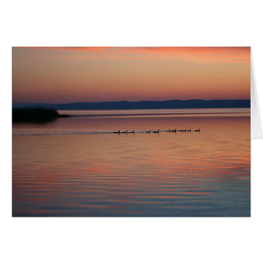 Gänse bei Sunset (Vorderseite (Horizontal))