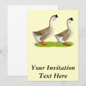 Gänse: Buff African Einladung (Vorne/Hinten)