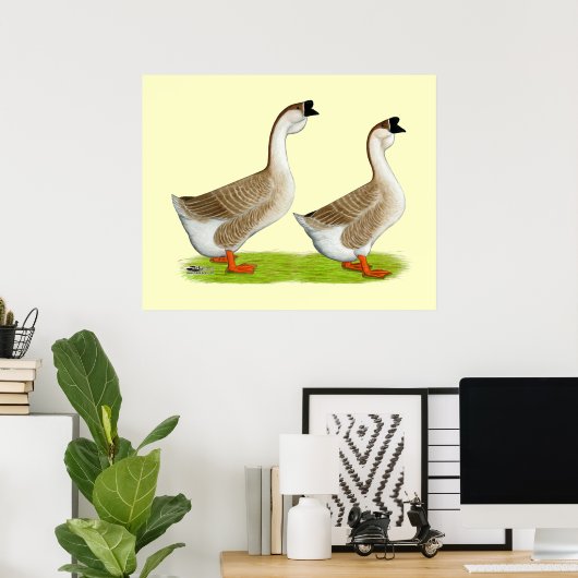 Gänse: Buff African Poster (Heimbüro)