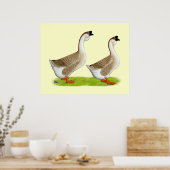 Gänse: Buff African Poster (Küche)