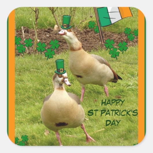 Gänse darstellend ein wenig irisch tanzen quadratischer aufkleber (Vorderseite)