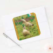 Gänse darstellend ein wenig irisch tanzen quadratischer aufkleber (Umschlag)