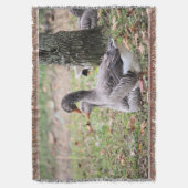 Gänse Decke (Vorderseite Vertikal)