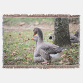 Gänse Decke (Vorderseite)