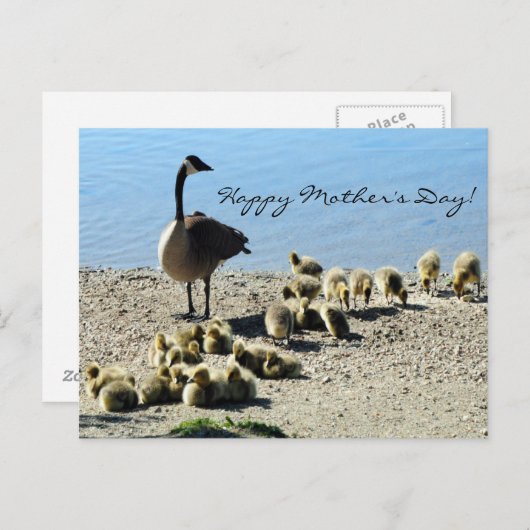 Gänse der Mutter 2 Postkarte (Vorne/Hinten)