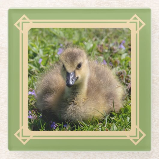 Gänse des Babys (Gänse) Glasuntersetzer (Vorderseite)