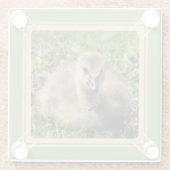 Gänse des Babys (Gänse) Glasuntersetzer (Rückseite)