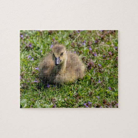 Gänse des Babys (Gänse) Puzzle (Horizontal)