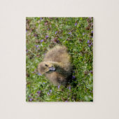 Gänse des Babys (Gänse) Puzzle (Vertikal)