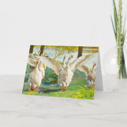 Gänse, die durch den grünen Park fahren Karte