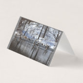 Gänse, die vom Wasser abheben (Vorderseite)