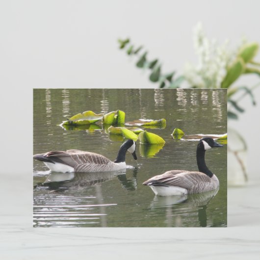 Gänse Einladung (Stehend Vorderseite)