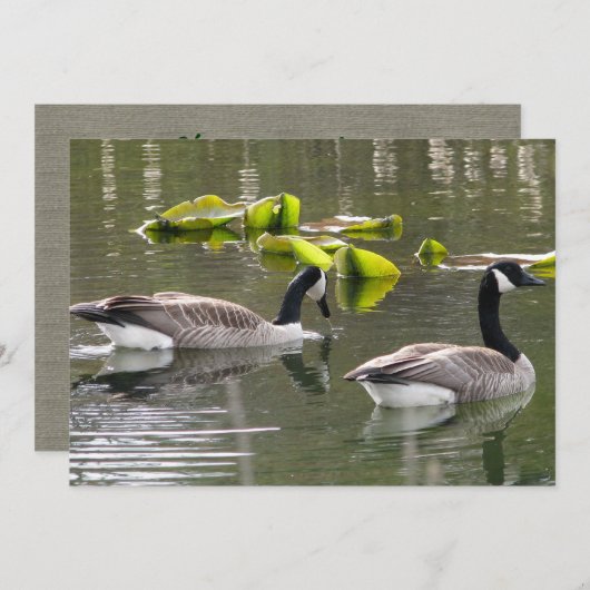 Gänse Einladung (Vorne/Hinten)