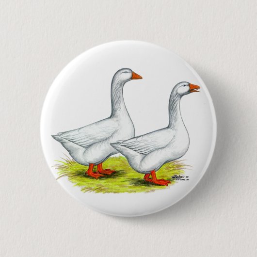 Gänse: Embden Pair Button (Vorderseite)