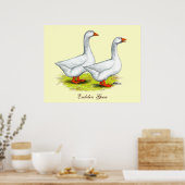 Gänse: Embden Pair Poster (Küche)