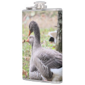 Gänse Flachmann (Links)