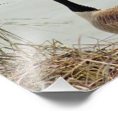 Gänse-Foto Fotodruck (Ecke)