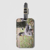 Gänse Gepäckanhänger (Vorderseite Vertikal)