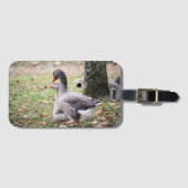 Gänse Gepäckanhänger (Vorderseite (Horizontal))