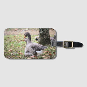 Gänse Gepäckanhänger