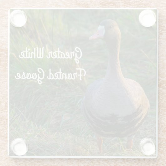 Gänse Glasuntersetzer (Rückseite)