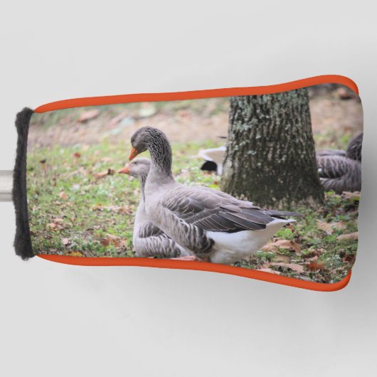Gänse Golf Headcover (Vorderseite)