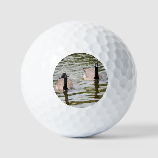 Gänse Golfball (Vorderseite)