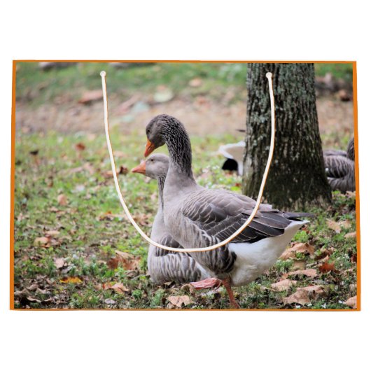 Gänse Große Geschenktüte (Vorderseite)