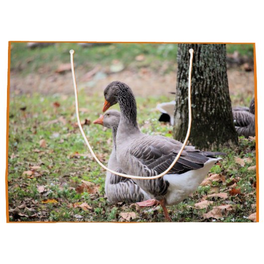 Gänse Große Geschenktüte (Rückseite)