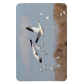 Gänse im Bosque-Himmel Magnet (Vertikal)