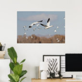 Gänse im Bosque-Himmel Poster (Heimbüro)