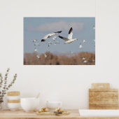Gänse im Bosque-Himmel Poster (Küche)