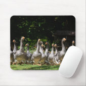 Gänse im Dordogne mousepad (Mit Mouse)