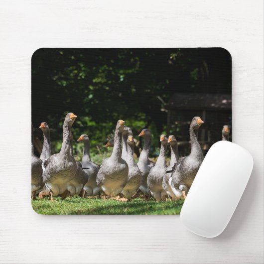 Gänse im Dordogne mousepad (Mit Mouse)