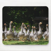 Gänse im Dordogne mousepad (Vorne)