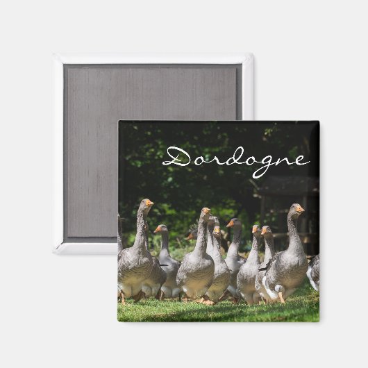 Gänse im Dordogne-Textmagneten Magnet (Vorderseite/Rückseite)