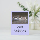 Gänse im Duckpond Postkarte (Stehend Vorderseite)
