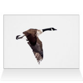 Gänse im Flug (Innenansicht Horizontal (Oben))