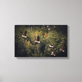 Gänse im Flug 14" x 11", 1,5", Single Leinwanddruck