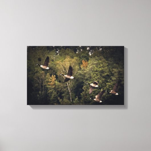 Gänse im Flug 14" x 11", 1,5", Single Leinwanddruck (Vorderseite)