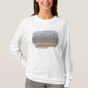 Gänse im Frühjahr T-Shirt